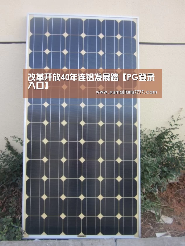 改革开放40年连铝发展路【PG登录入口】(图3) PG登录入口