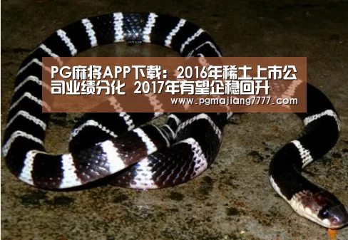 PG麻将APP下载
