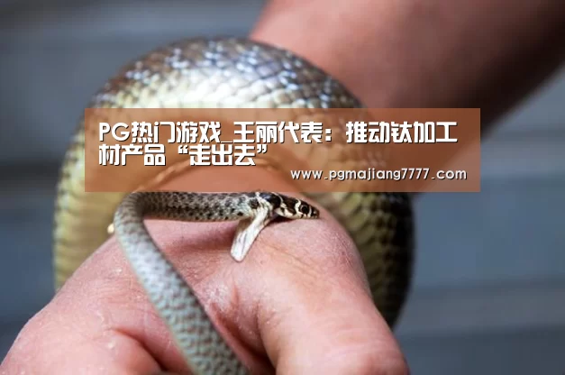 PG热门游戏_王丽代表:推动钛加工材产品“走出去”(图4) PG麻将APP下载