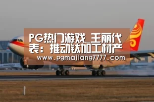 PG热门游戏_王丽代表:推动钛加工材产品“走出去”(图2) PG麻将在线玩