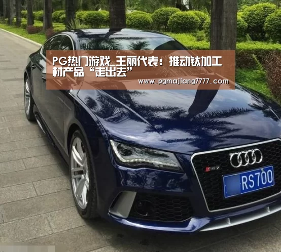 PG热门游戏_王丽代表:推动钛加工材产品“走出去”(图3) PG麻将在线玩