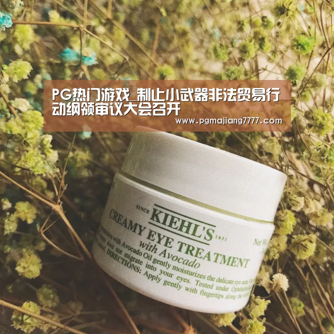 PG热门游戏_制止小武器非法贸易行动纲领审议大会召开(图2) PG麻将在线玩