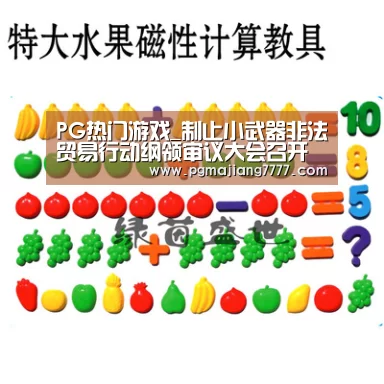 PG热门游戏_制止小武器非法贸易行动纲领审议大会召开(图3) PG麻将APP下载