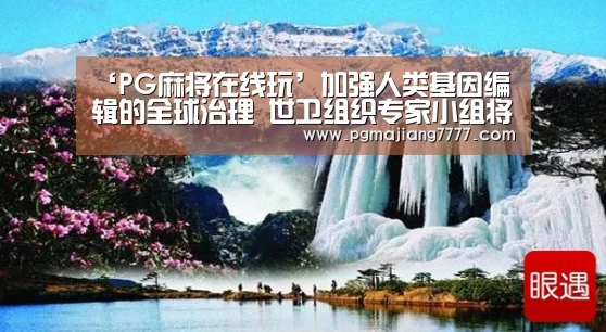 PG麻将APP下载