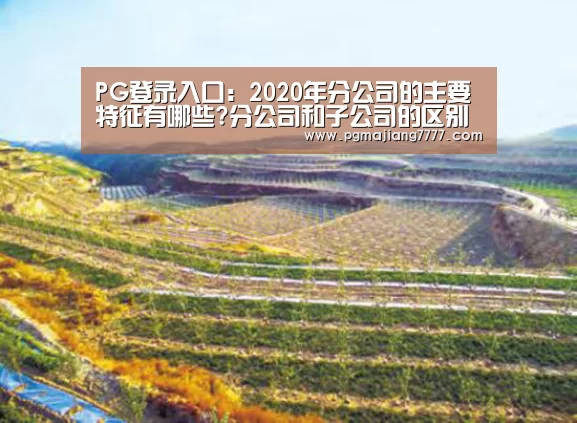 PG登录入口:2020年分公司的主要特征有哪些?分公司和子公司的区别是什么?(图2) PG热门游戏