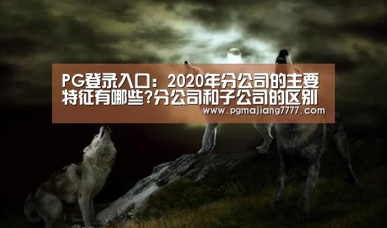 PG登录入口:2020年分公司的主要特征有哪些?分公司和子公司的区别是什么?(图1) PG热门游戏